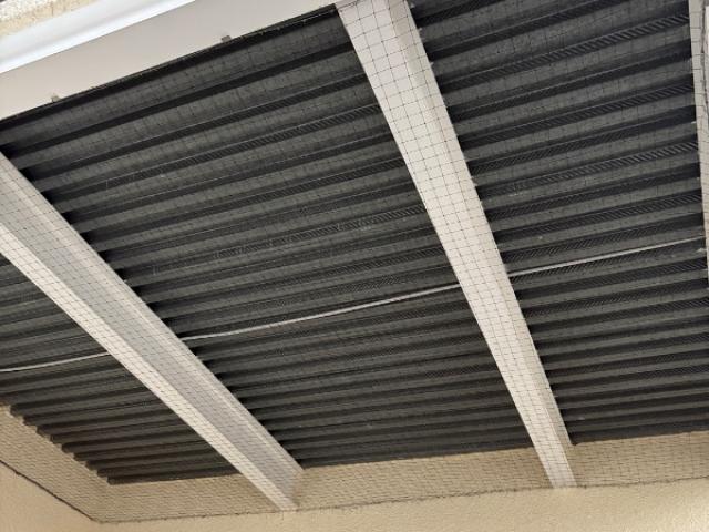 Intervention de dépigeonnage dans une copropriété à Montigny-le-bretonneux